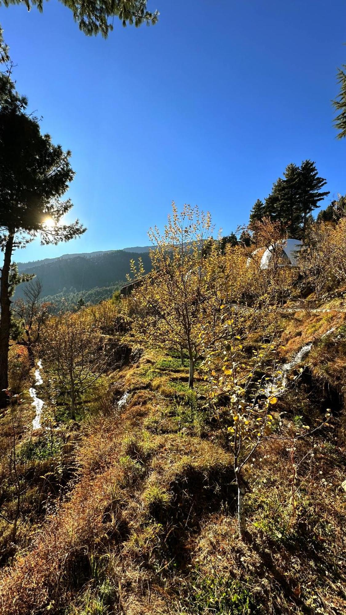 Fayul Retreat - India Highest Glamp And Ecoluxury Stay Kalpa Exteriér fotografie
